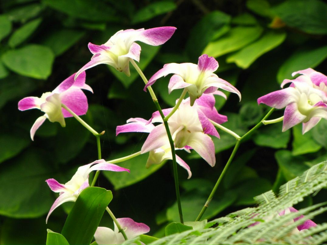 Марина Тышева | Северодвинск