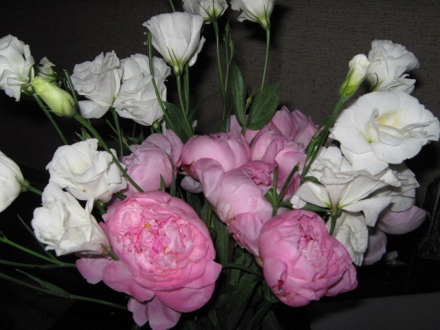 Евгения Лисова | Гомель