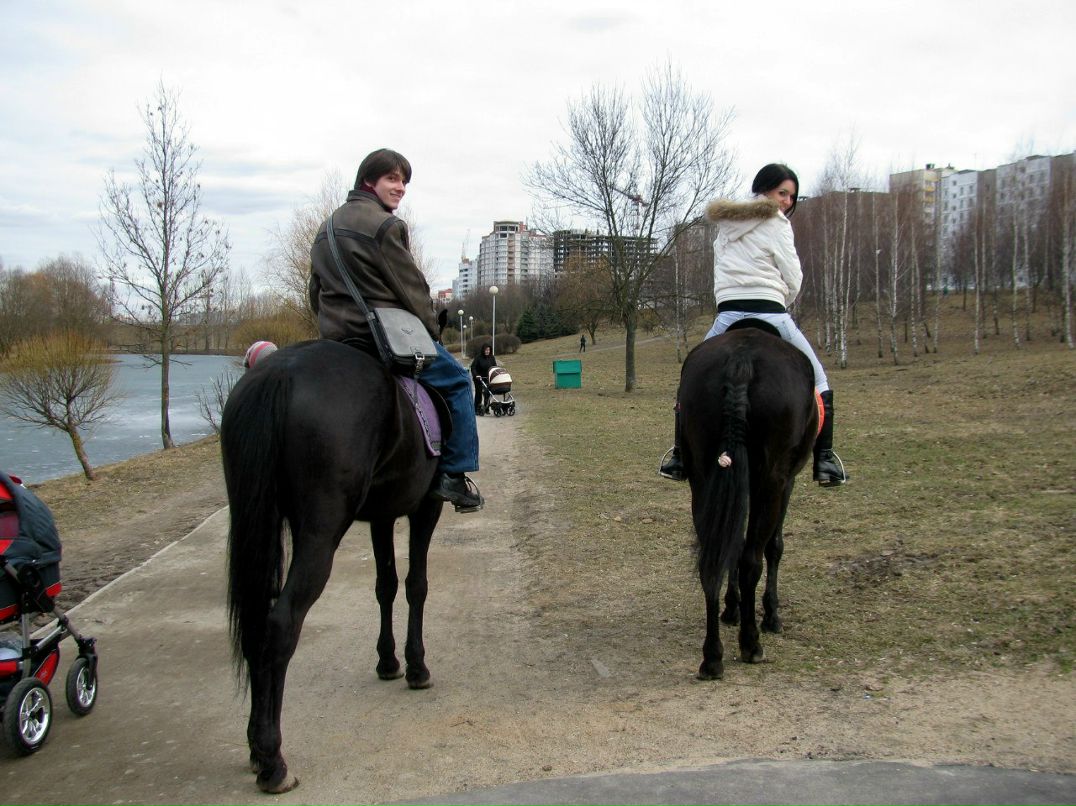 Николай Городецкий Aveal Coldman | Минск