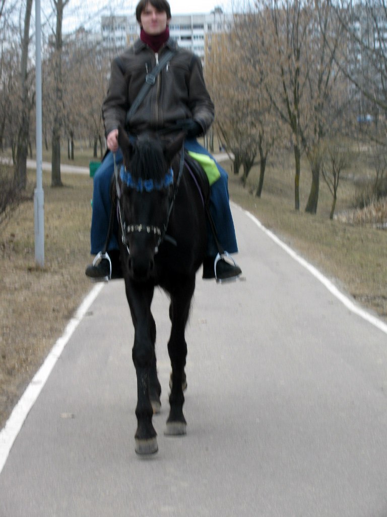 Николай Городецкий Aveal Coldman | Минск