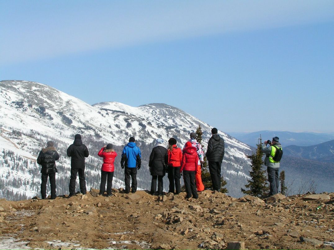 Лидия Косарева *Белка* | Москва