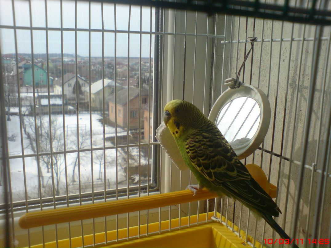 Антон Бєда | Warszawa