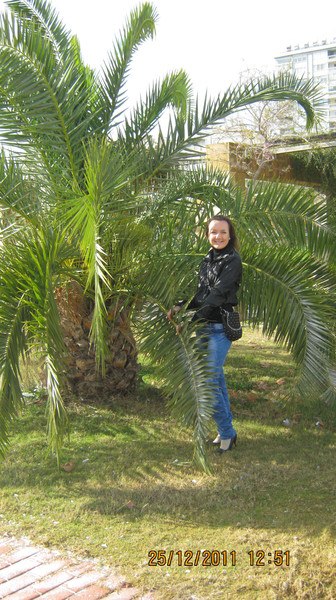 Сергей Романенко | Запорожье