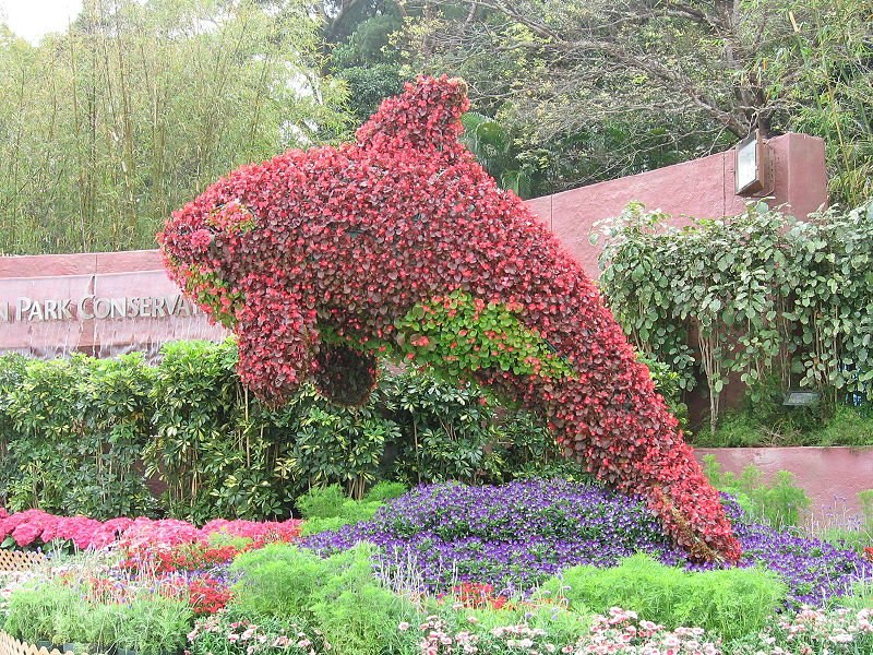 Венера Гаянова | Уфа