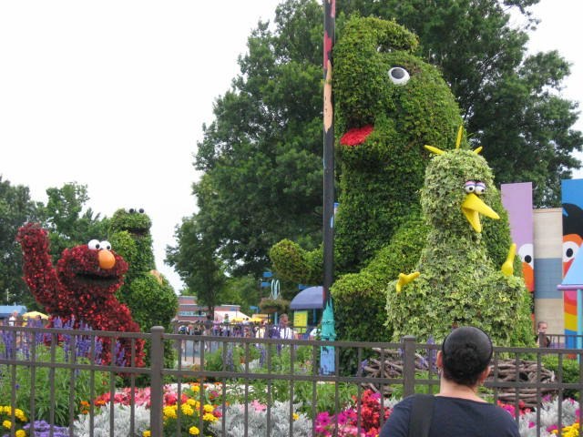 Венера Гаянова | Уфа