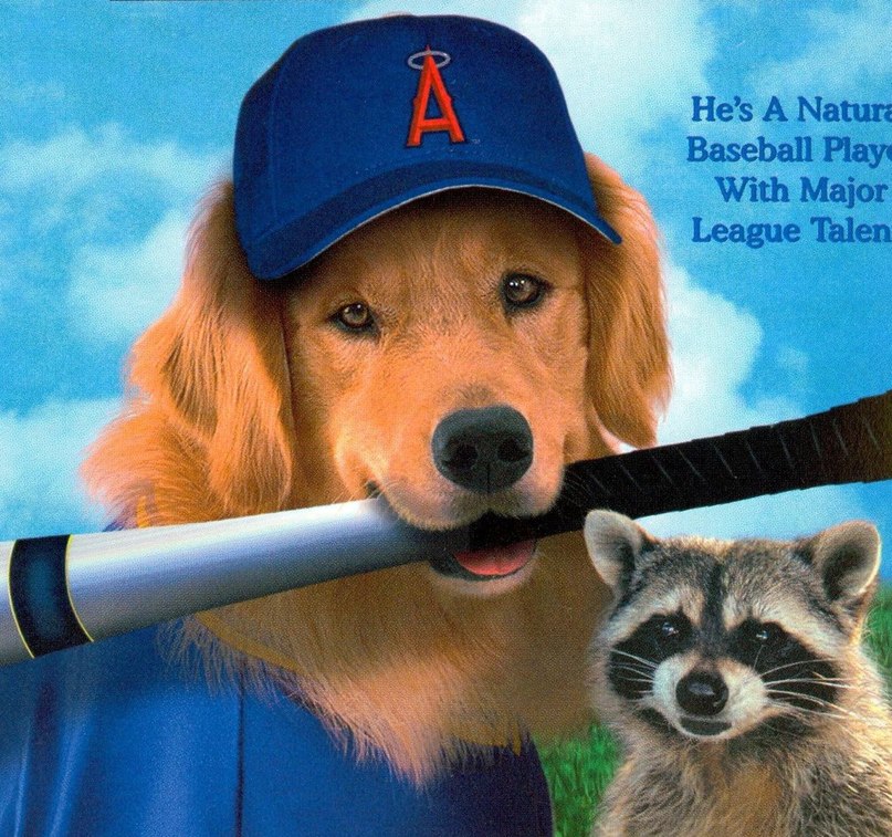 Олег Самарин | Санкт-Петербург