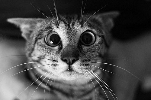 Анна Мартьянова | Ульяновск