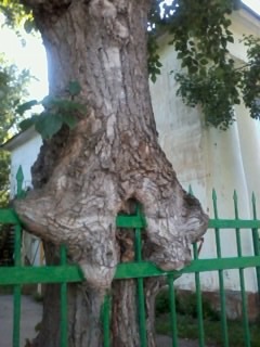 №107, Любовь Ильичёва, 46 лет, Кострома №107, Любовь Ильичёва, 46 лет, Кострома