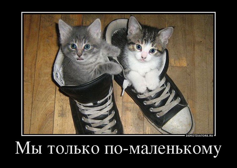 Иван Бузычкин | Сыктывкар