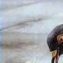 №82, Мила Алексеева, Алматы №82, Мила Алексеева, Алматы