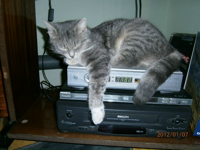 Дилара Хомколова | Уфа