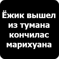 Евгений Мельник | 