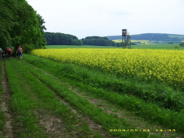 №15, Ольга Быкова №15, Ольга Быкова