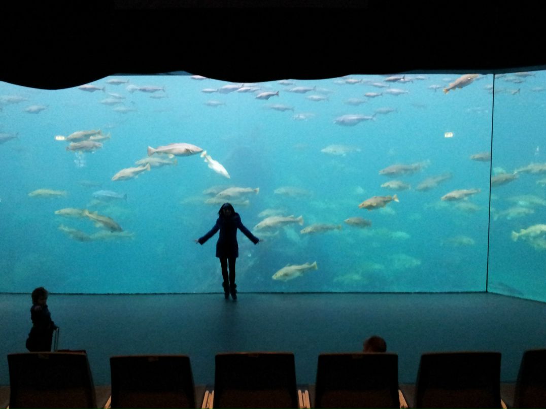 Ирина Дежан | Санкт-Петербург