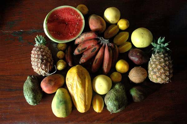 Николай Старжинский | Москва