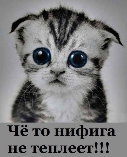 Валера Александровский ﭢOMENﭢ | Донецк