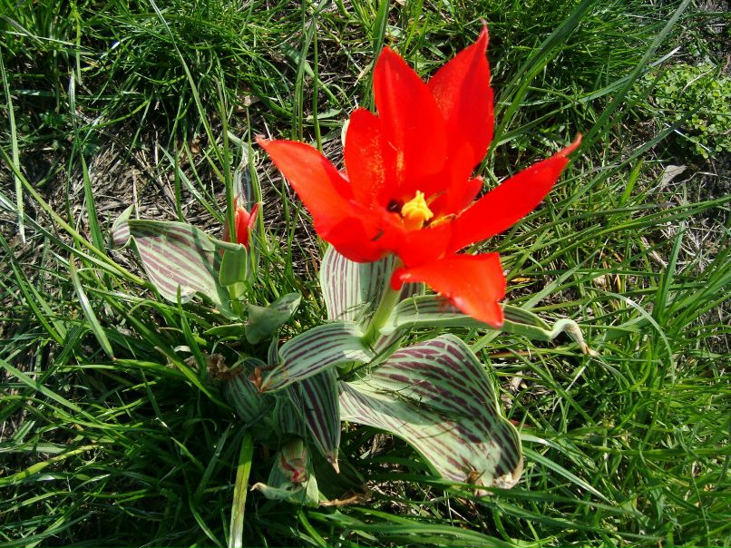 Екатерина Шевцова | Киев