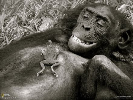 Татьяна Коденцева | Москва