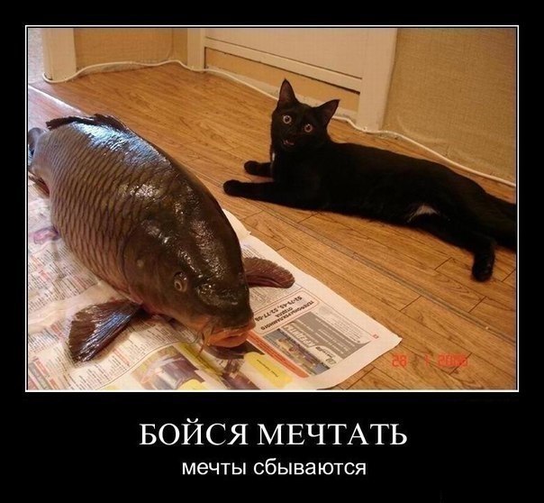 Scher Khan | Херсон