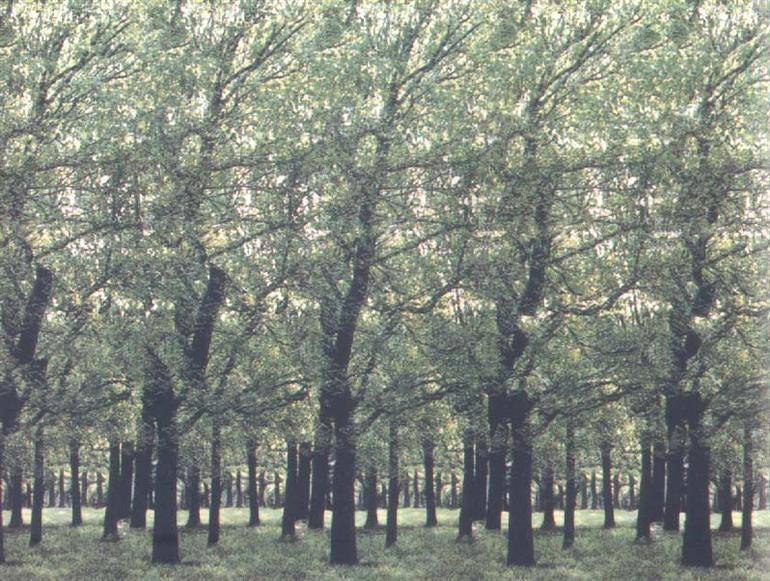 Alexander Tishakov | Athens