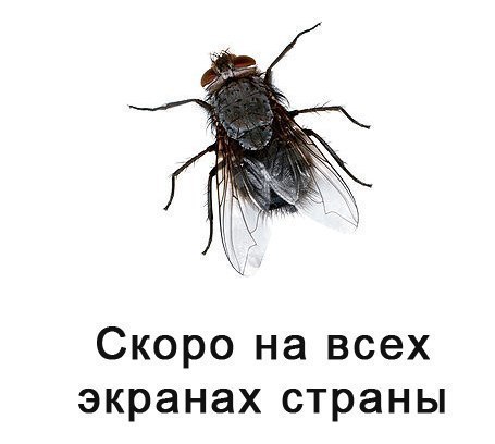 Оля Фещенко | Мурманск