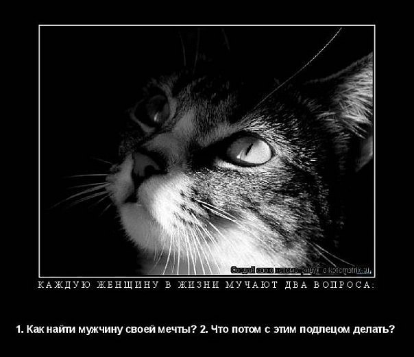 Катерина Вилкова | Балаково