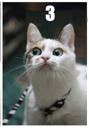 Екатерина Новак | Челябинск