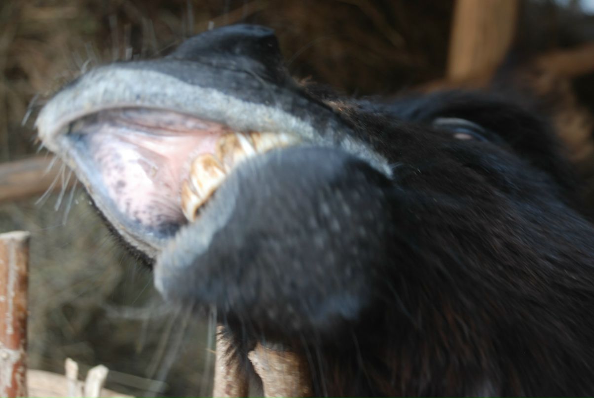 Любовь Перунова | Санкт-Петербург