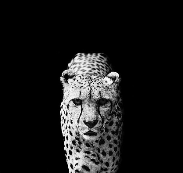 Оксана Латик | Долина