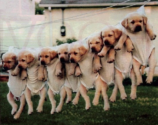 Серёжа Андреев | Брест