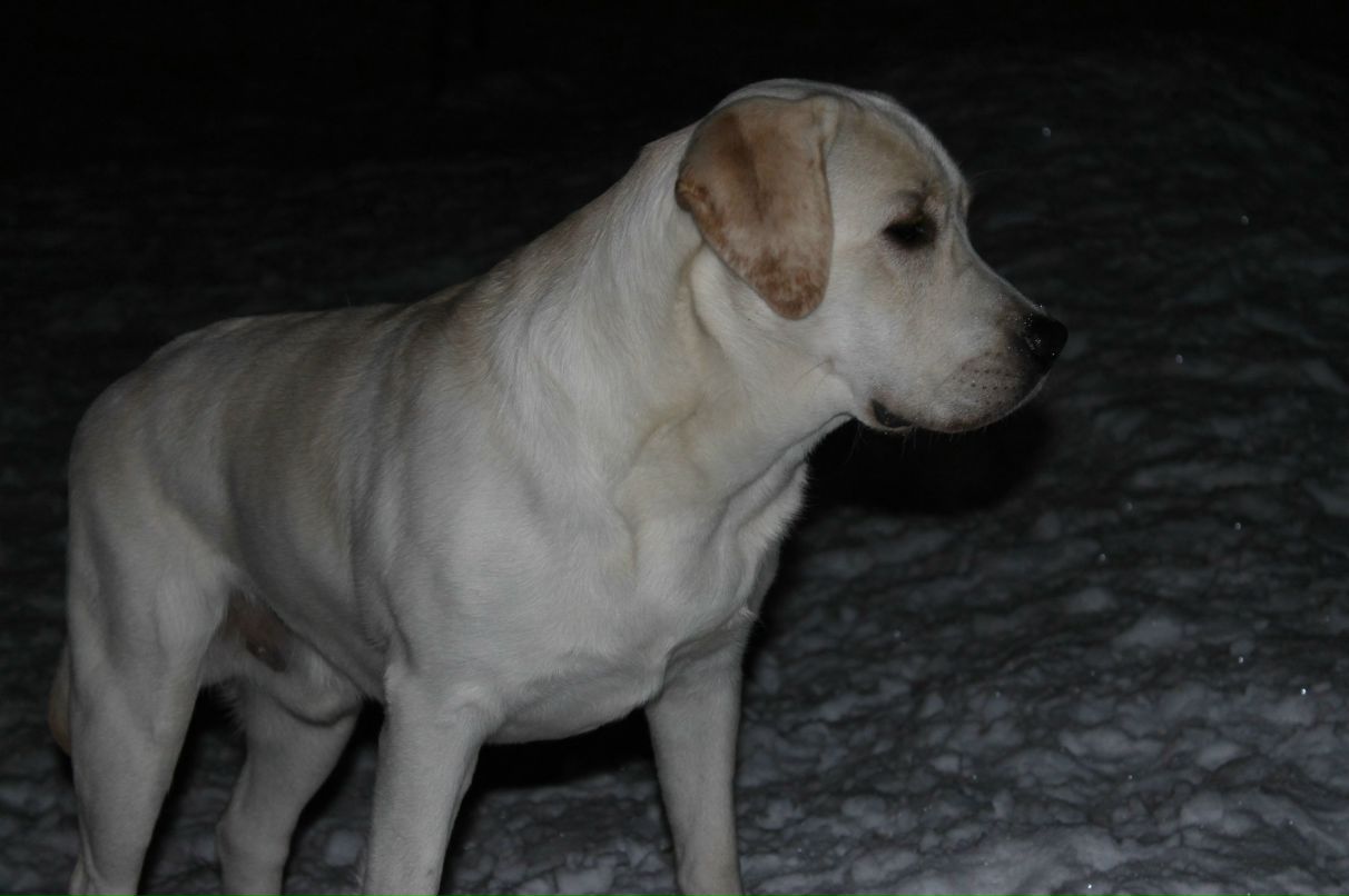 Павел Золин | Казань