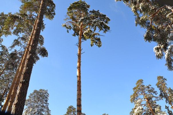 №149, Игорь Каргашин, 45 лет, Сарапул №149, Игорь Каргашин, 45 лет, Сарапул