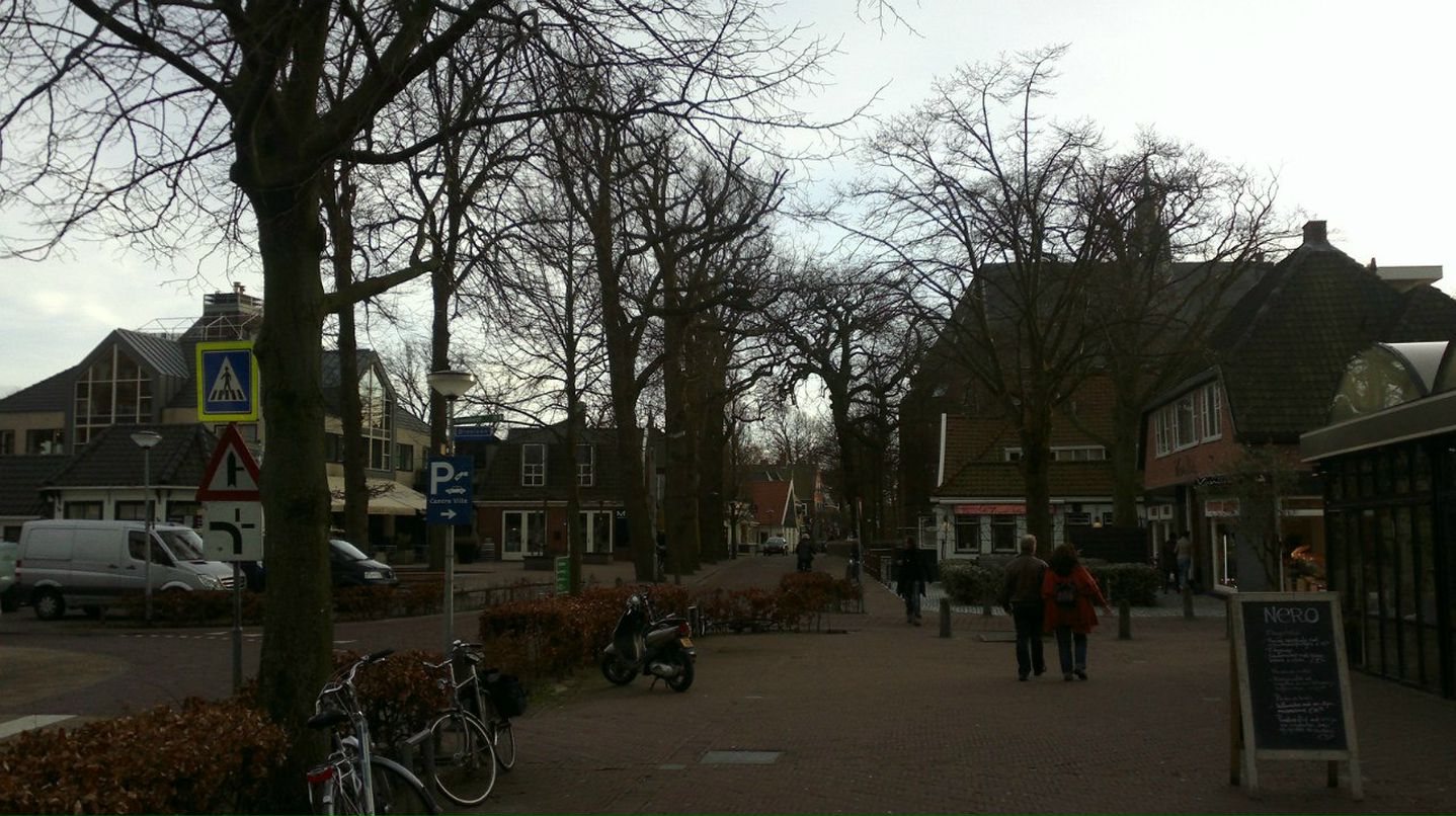 Сергей Sergiolink Sergio | Санкт-Петербург