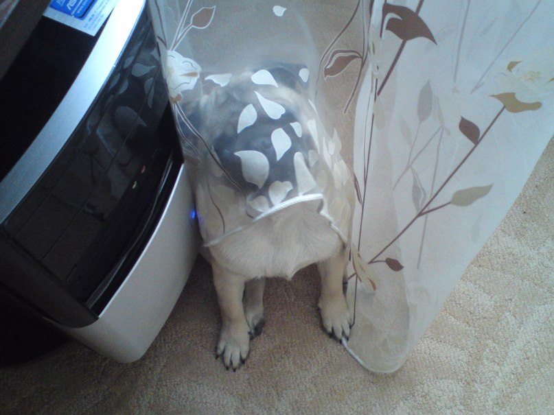 Анастасия Талисманова | Красноярск