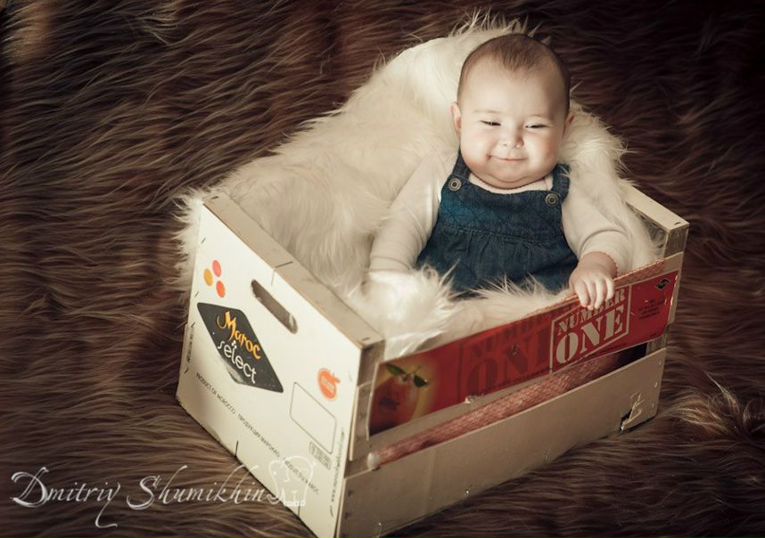 №13, Дмитрий Шумихин №13, Дмитрий Шумихин