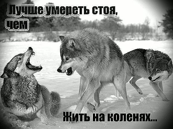 №21, Алексей Михайлов, Чебоксары №21, Алексей Михайлов, Чебоксары