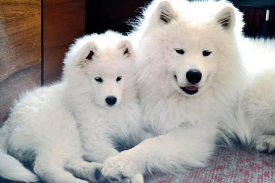 №192, Юлія Кавеліна, Днепр (Днепропетровск) №192, Юлія Кавеліна, Днепр (Днепропетровск)