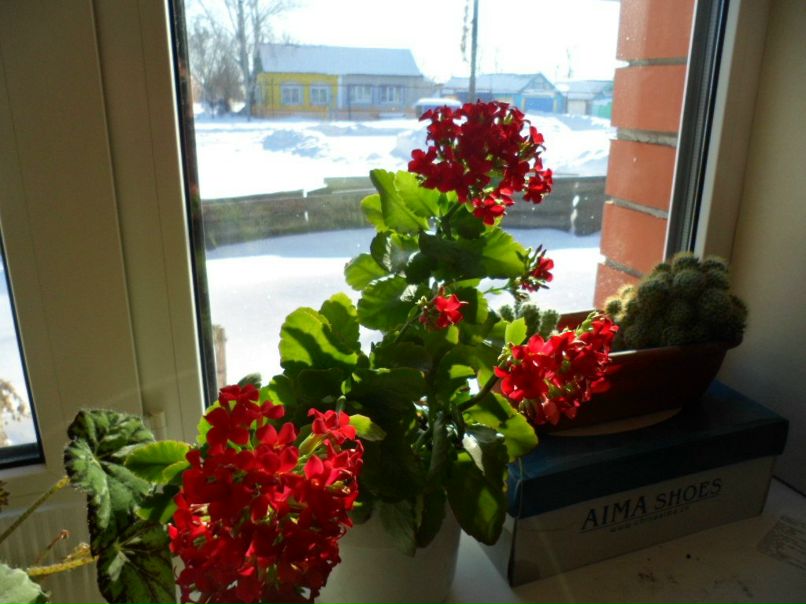 Vladimir Bochkarev | 