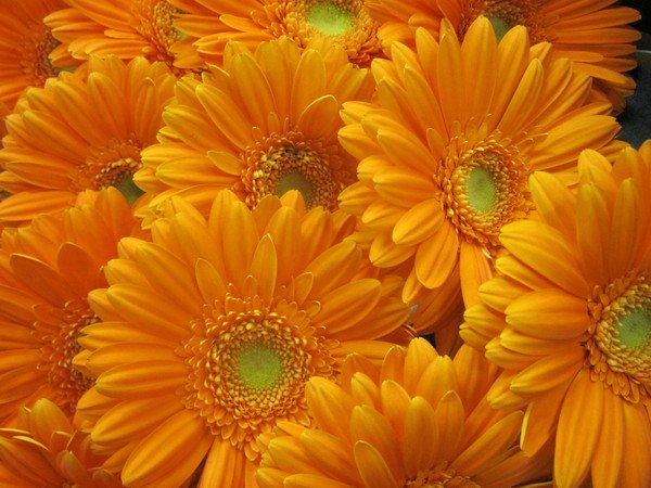 Евгения Ключинская | Омск