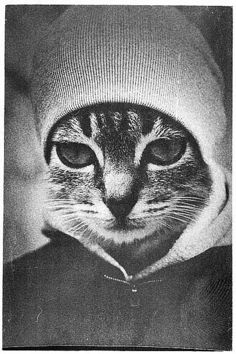 Tatiana Jarova | Москва