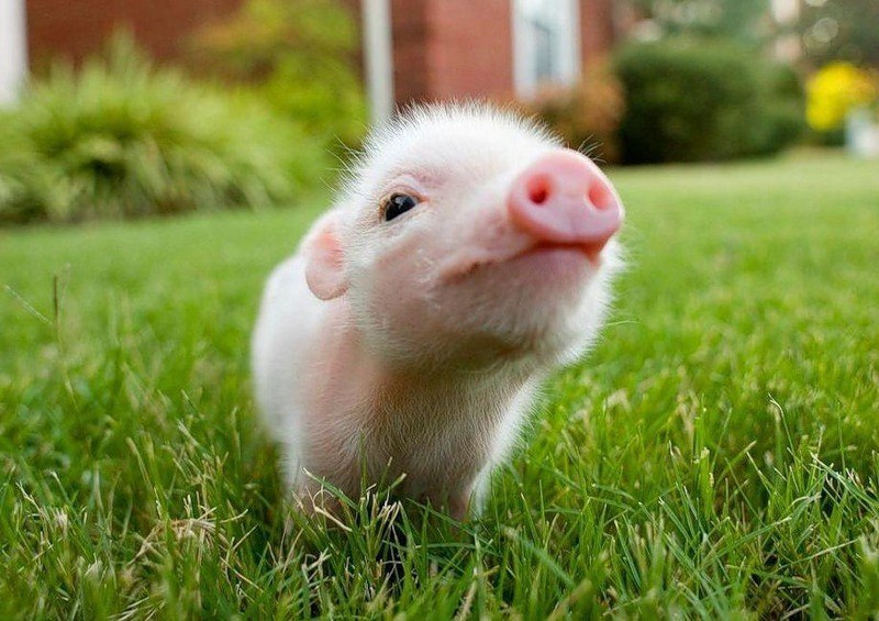 Ксюха Филатова | Подпорожье