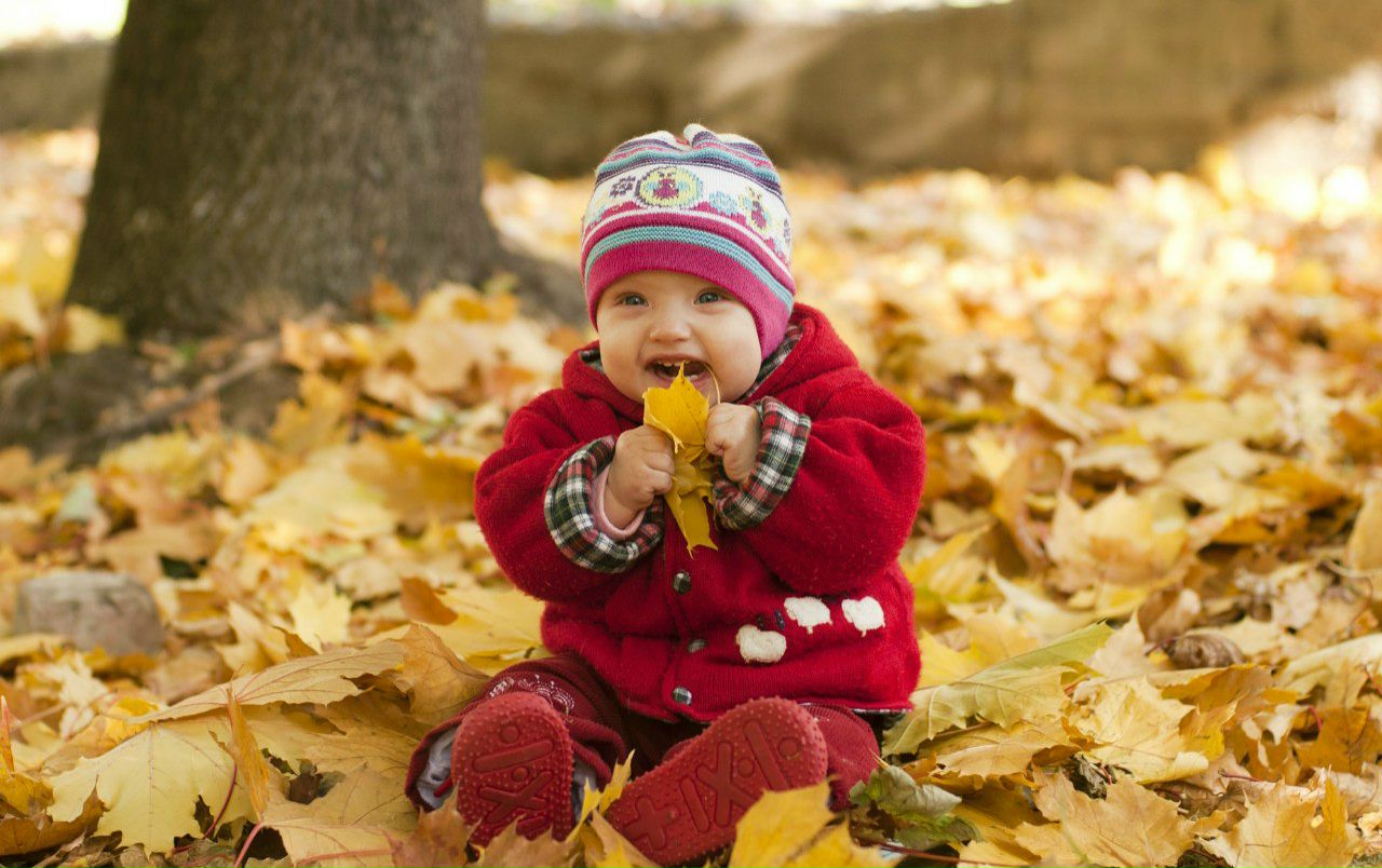 Андрій Косович | Тернополь
