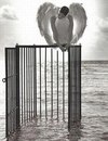 Фотография Григориевны Ксении