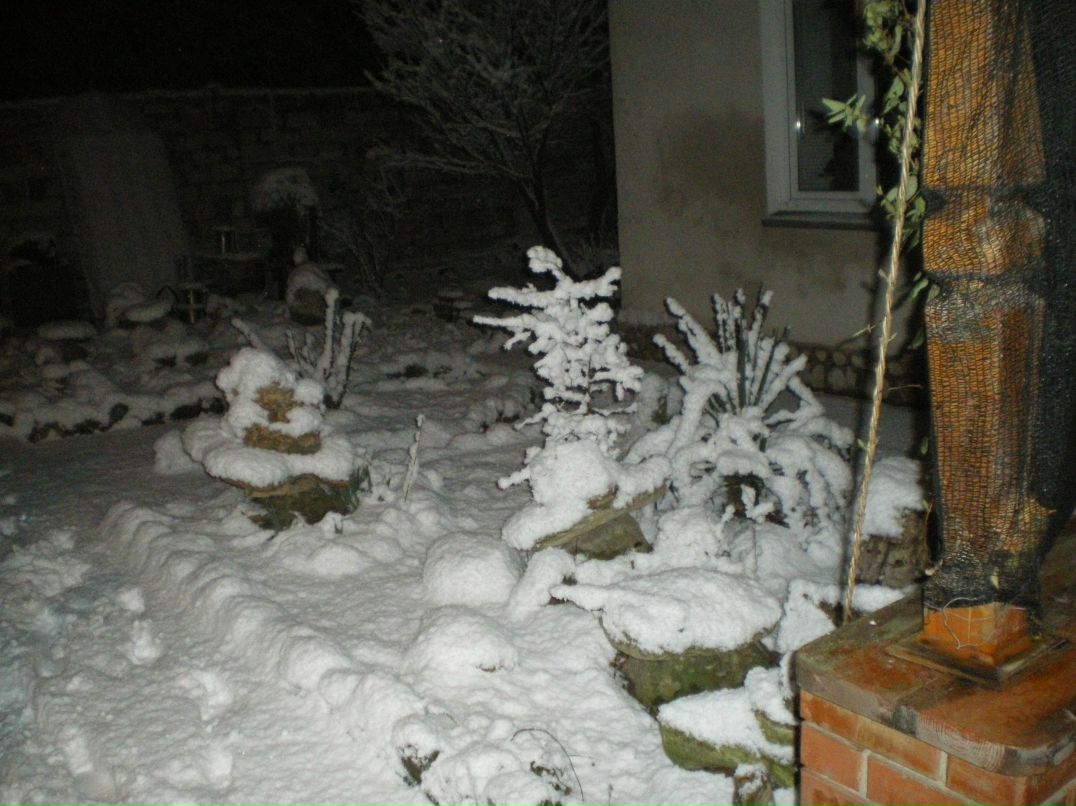 Галина Нуфер | Белгород (поселок)