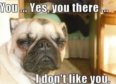 Георгий Григолия | Санкт-Петербург