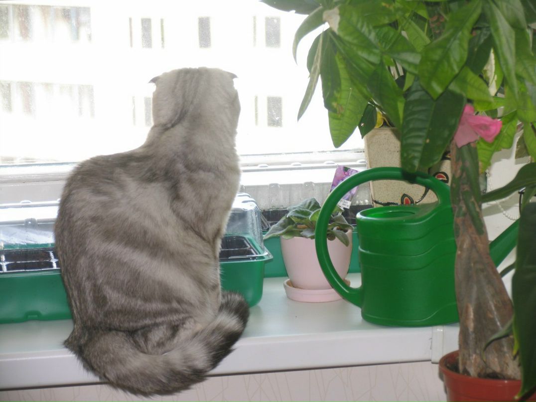 Евгений Фролов Свет Михайлович | Москва