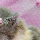 №131, Василь Білецький, Ивано-Франковск №131, Василь Білецький, Ивано-Франковск