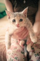 Алёна Митянина | 