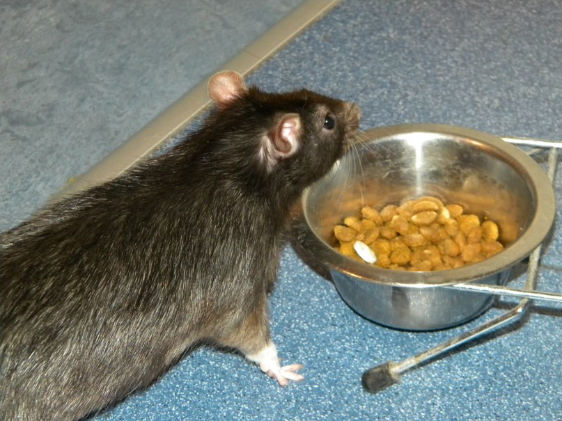 Наталья Агапова | Волжский