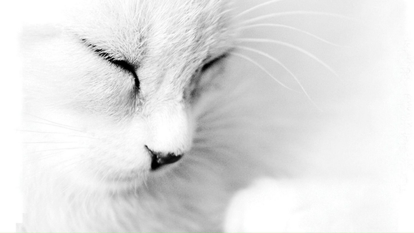 Ирина Акохова | Москва